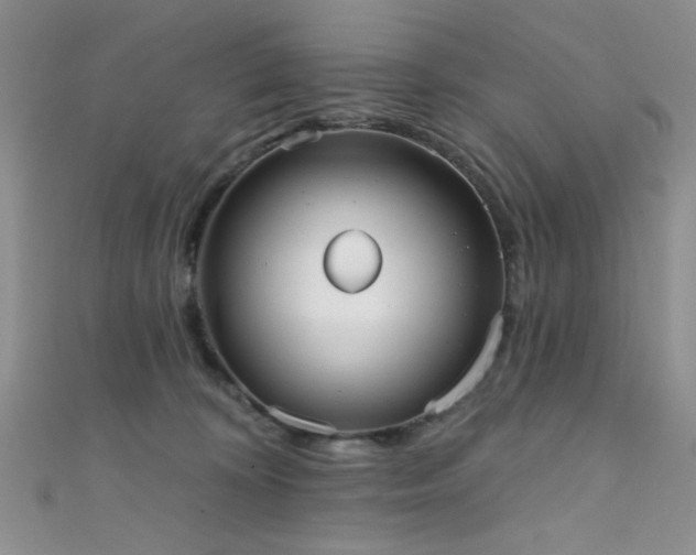 X0000111480324200907141223