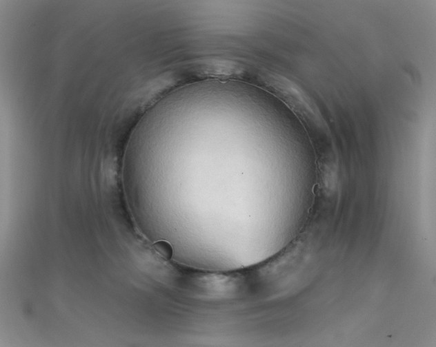 X0000111480326200907141222