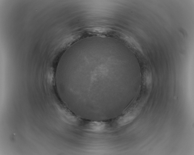 X0000111480328200907141222