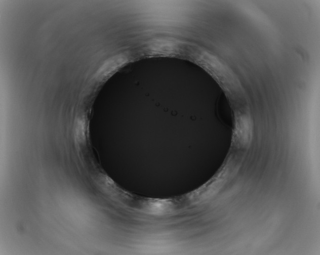 X0000111480333200907141222