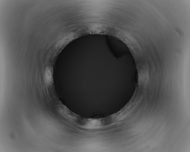 X0000111480335200907141222