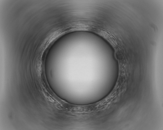 X0000111480338200907141222