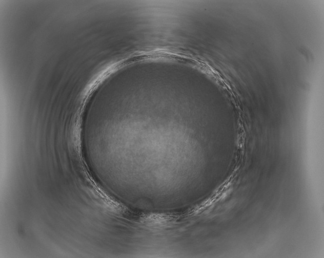 X0000111480341200907141222