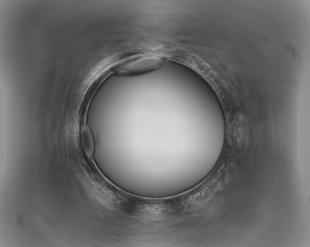 X0000111480344200907141222