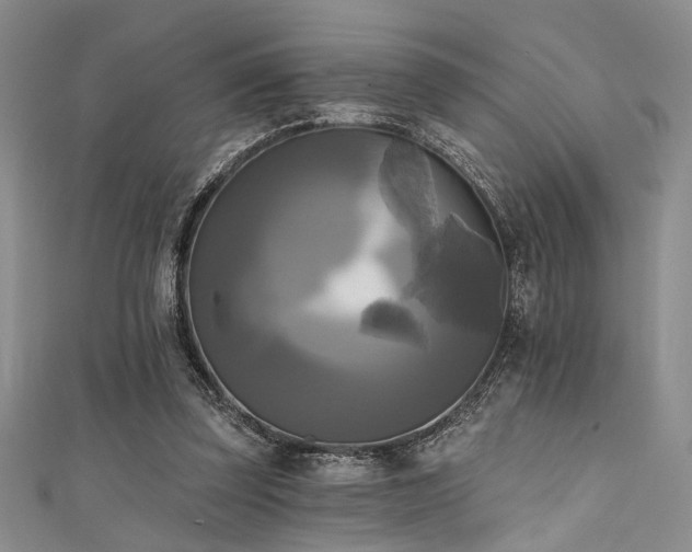 X0000111480347200907141222