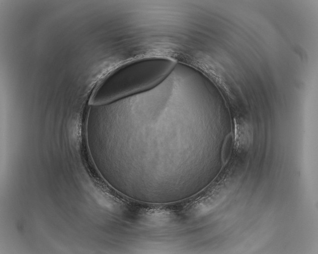 X0000111480348200907141222