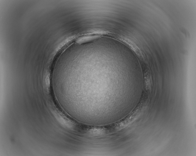 X0000111480350200907141222