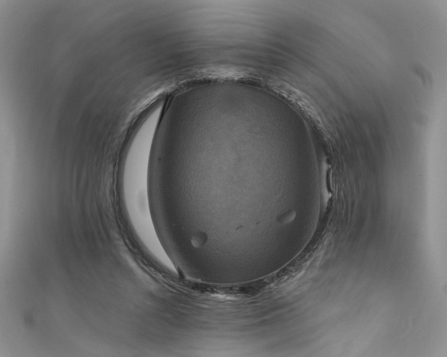 X0000111480352200907141222