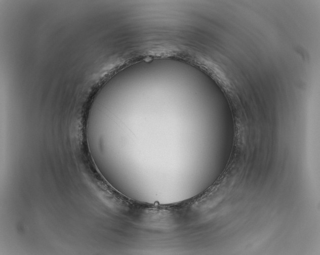 X0000111480354200907141222