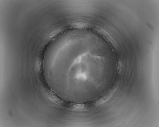 X0000111480355200907141222