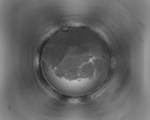 X0000111480358200907141222