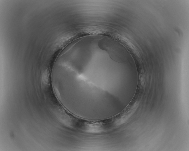 X0000111480359200907141222