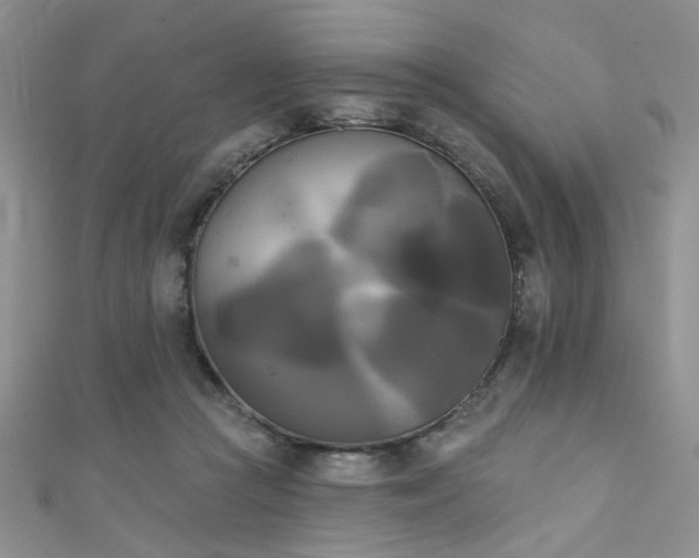 X0000111480361200907141222