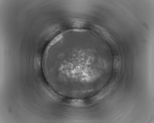 X0000111480363200907141222