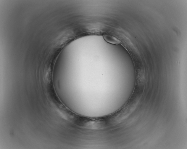 X0000111480364200907141222