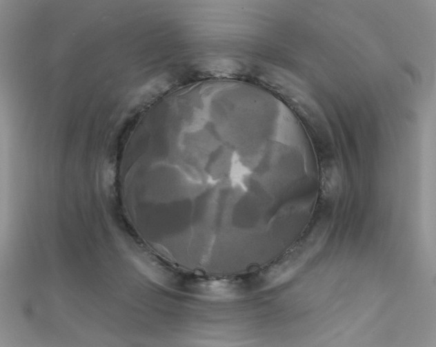 X0000111480365200907141222
