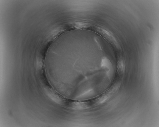 X0000111480367200907141222