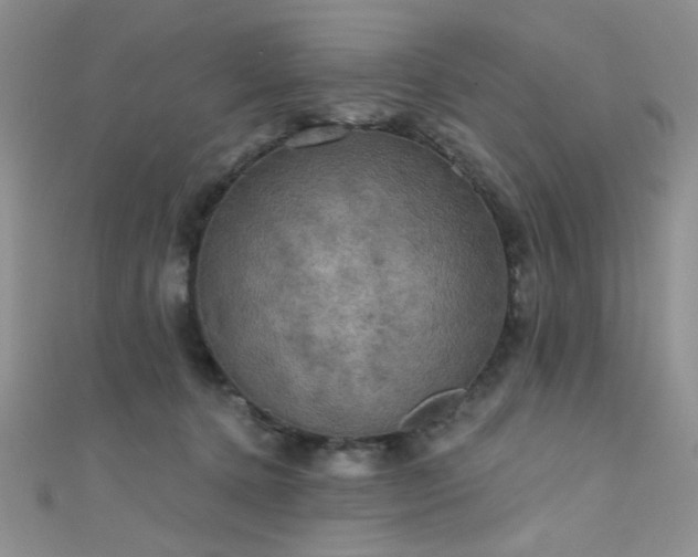 X0000111480368200907141222