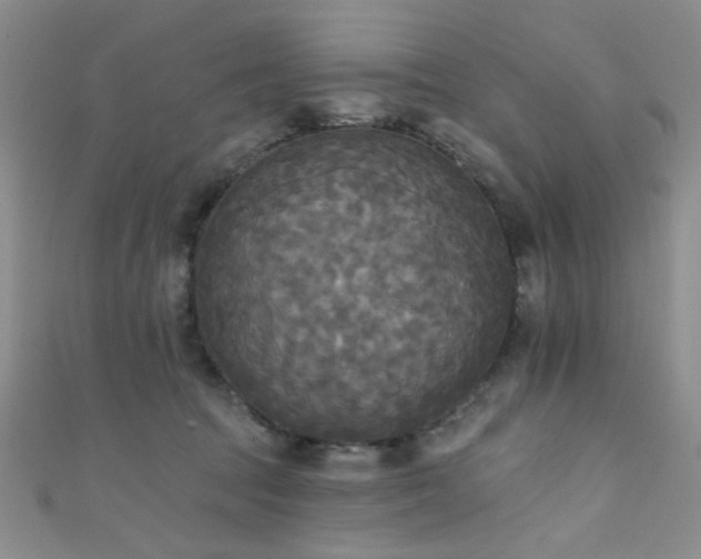 X0000111480369200907141222