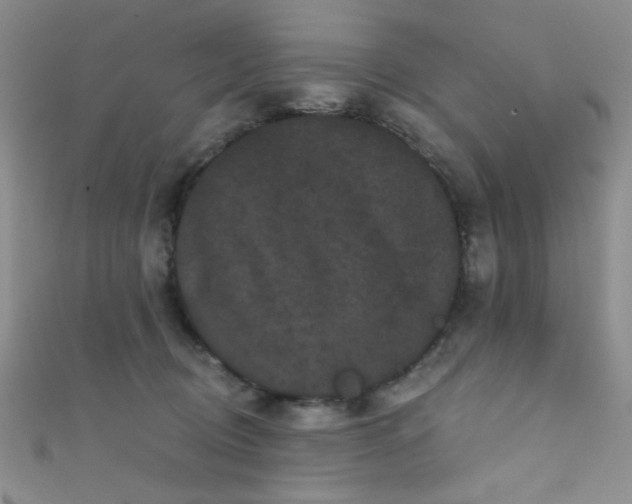X0000111480370200907141222