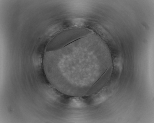 X0000111480372200907141222
