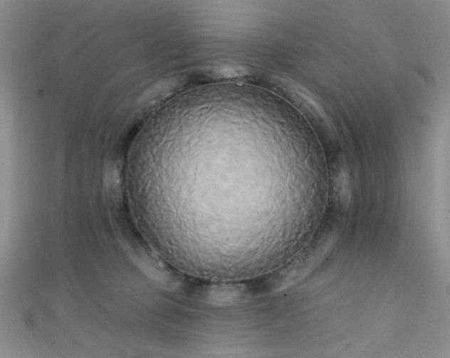 X0000111480373200907141222