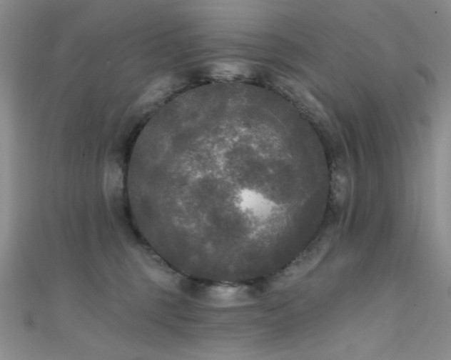 X0000111480375200907141222