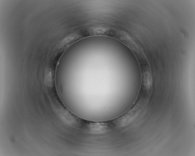 X0000111480378200907141222