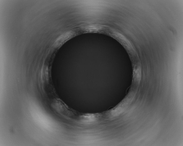 X0000111480381200907141222