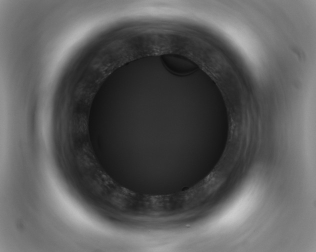 X0000111480383200907141222