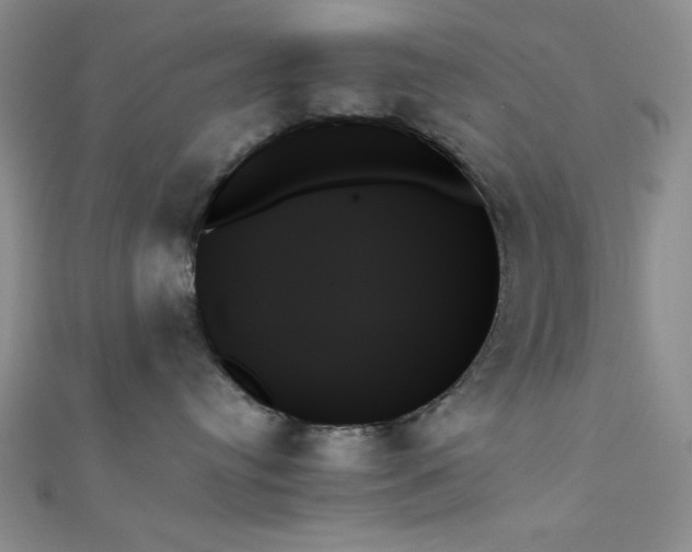 X0000111480384200907141222