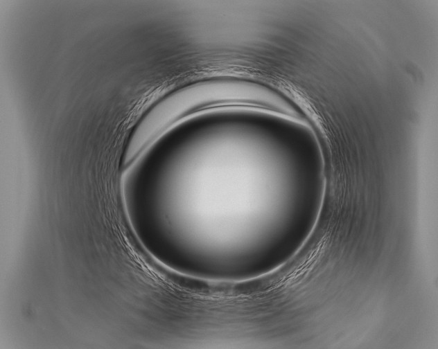 X0000111480385200907141222