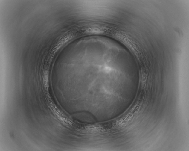 X0000111480386200907141222