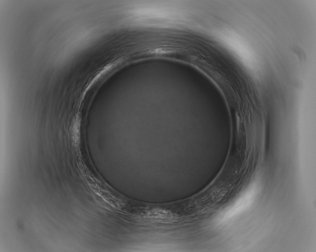 X0000111480387200907141222