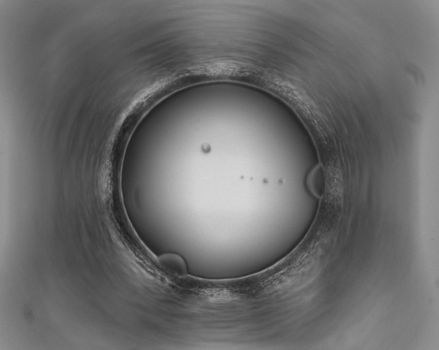 X0000111480392200907141222