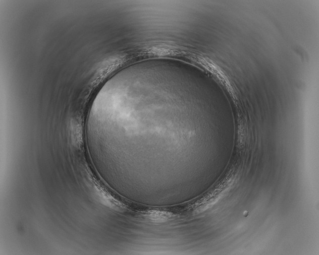 X0000111480393200907141222