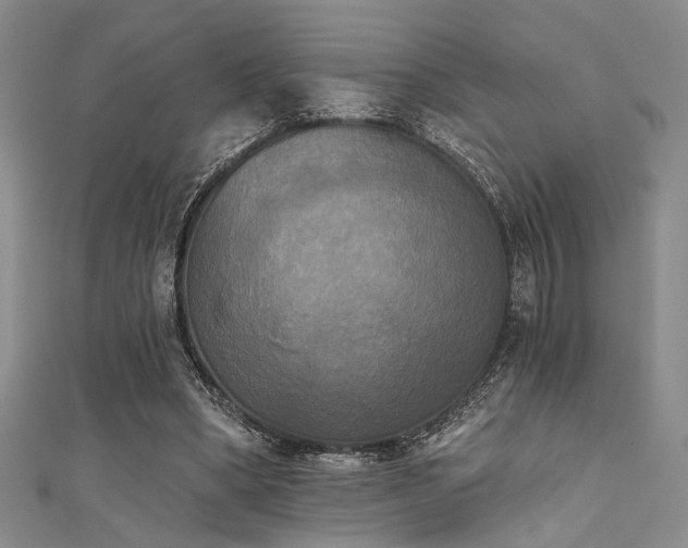 X0000111480394200907141222