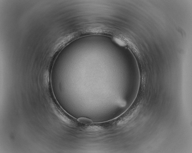 X0000111480397200907141222