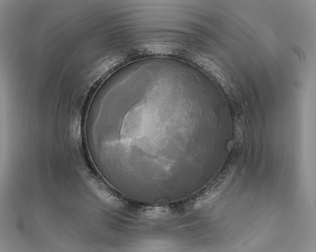 X0000111480398200907141222