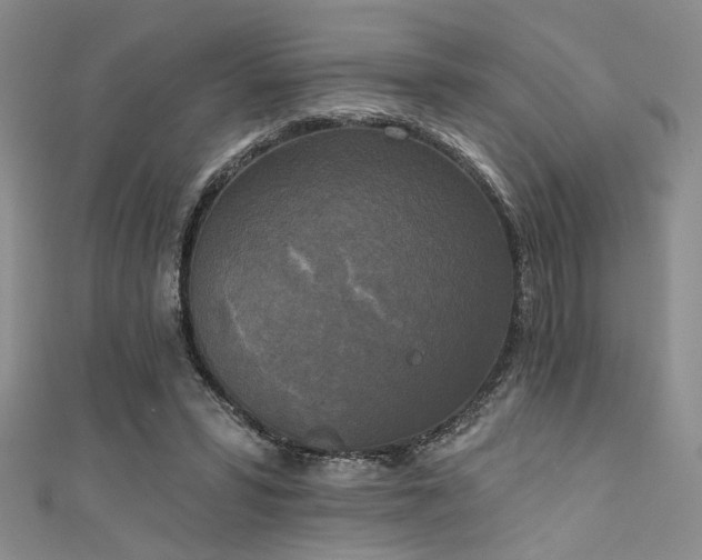 X0000111480399200907141222