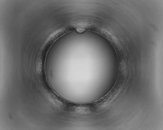 X0000111480400200907141222
