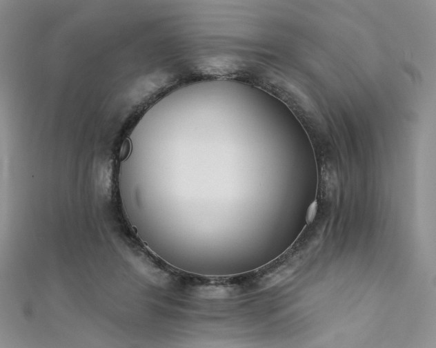 X0000111480404200907141221