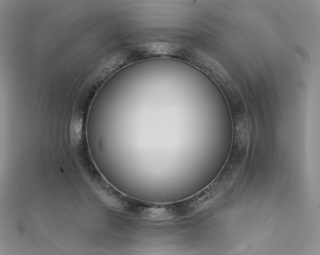 X0000111480406200907141221