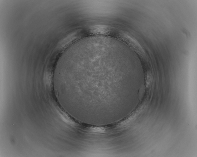 X0000111480409200907141221