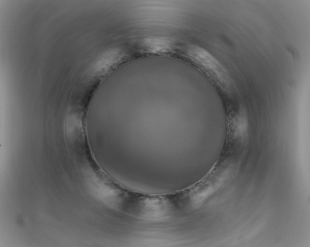 X0000111480415200907141221