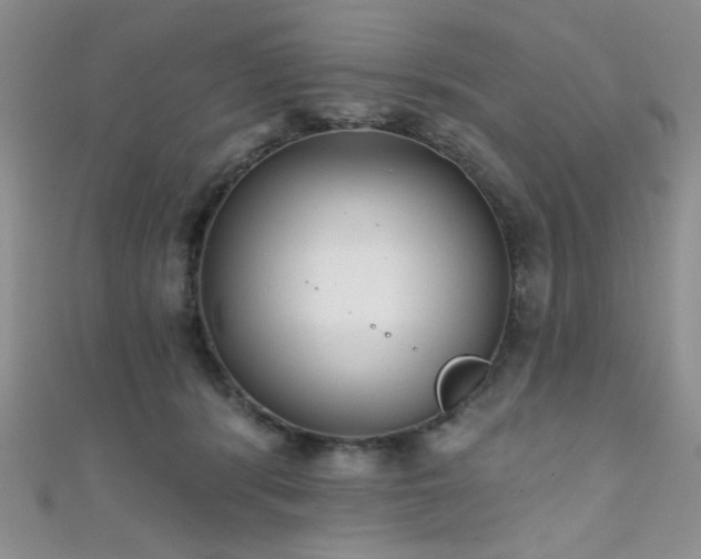 X0000111480416200907141221