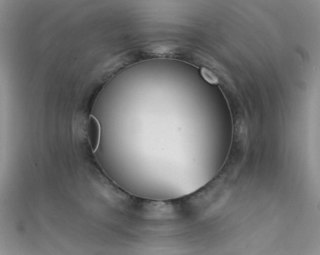 X0000111480421200907141221