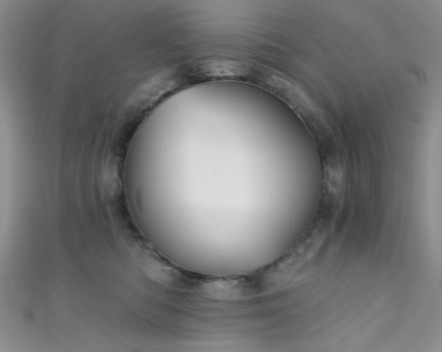 X0000111480422200907141221