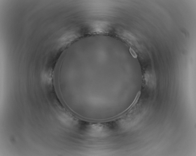 X0000111480423200907141221