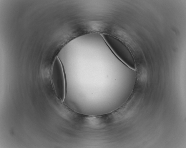 X0000111480425200907141221